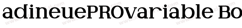 adineuePROvariable Bold字体转换